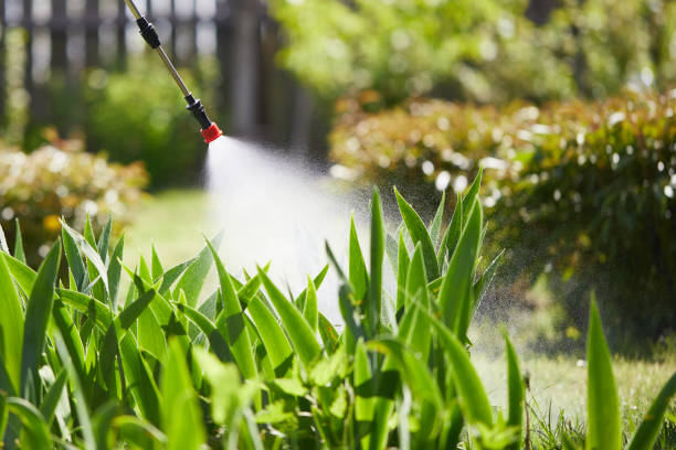 Void Injection for Cockroach Colonies in Calabasas